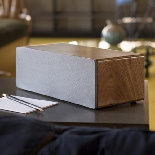 Audioengine A2 AIO (B2) Bluetooth Speaker – Premium Wireless Home Speaker