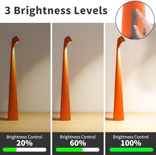 HAPYGI Cordless Rechargeable Reading Metal Table Lamp, 3-Level Brightness
