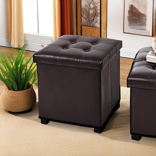 YOUDENOVA Storage Ottoman, Small Ottoman Foot Rest, Ottoman with Storage