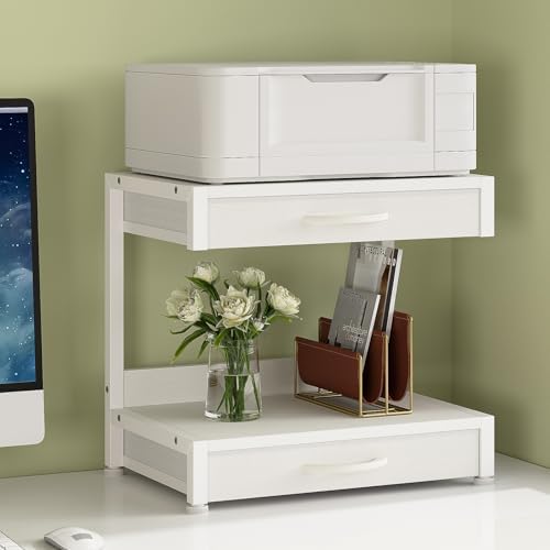 VENNQD 2-Tier Desktop Printer Stand with 2 Fabric Drawers, Prtiner Table with...