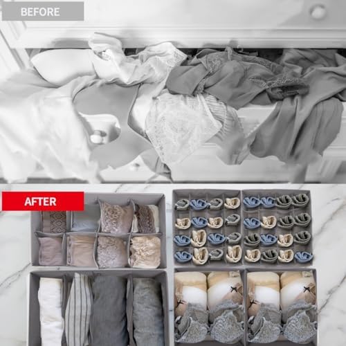 SUREMAX 10-Pack Underwear Organizer for Clothing Underwear, Sock, Bra, Grey