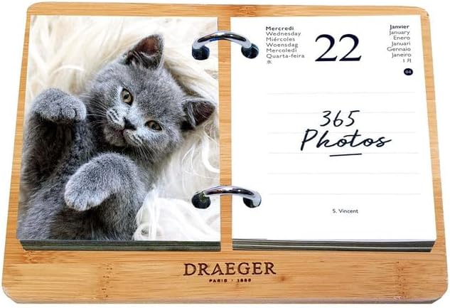 DRAEGER PARIS - Yvon 2025 Ephemeris Diary Box - 7 Languages - 365 Sheets and ...