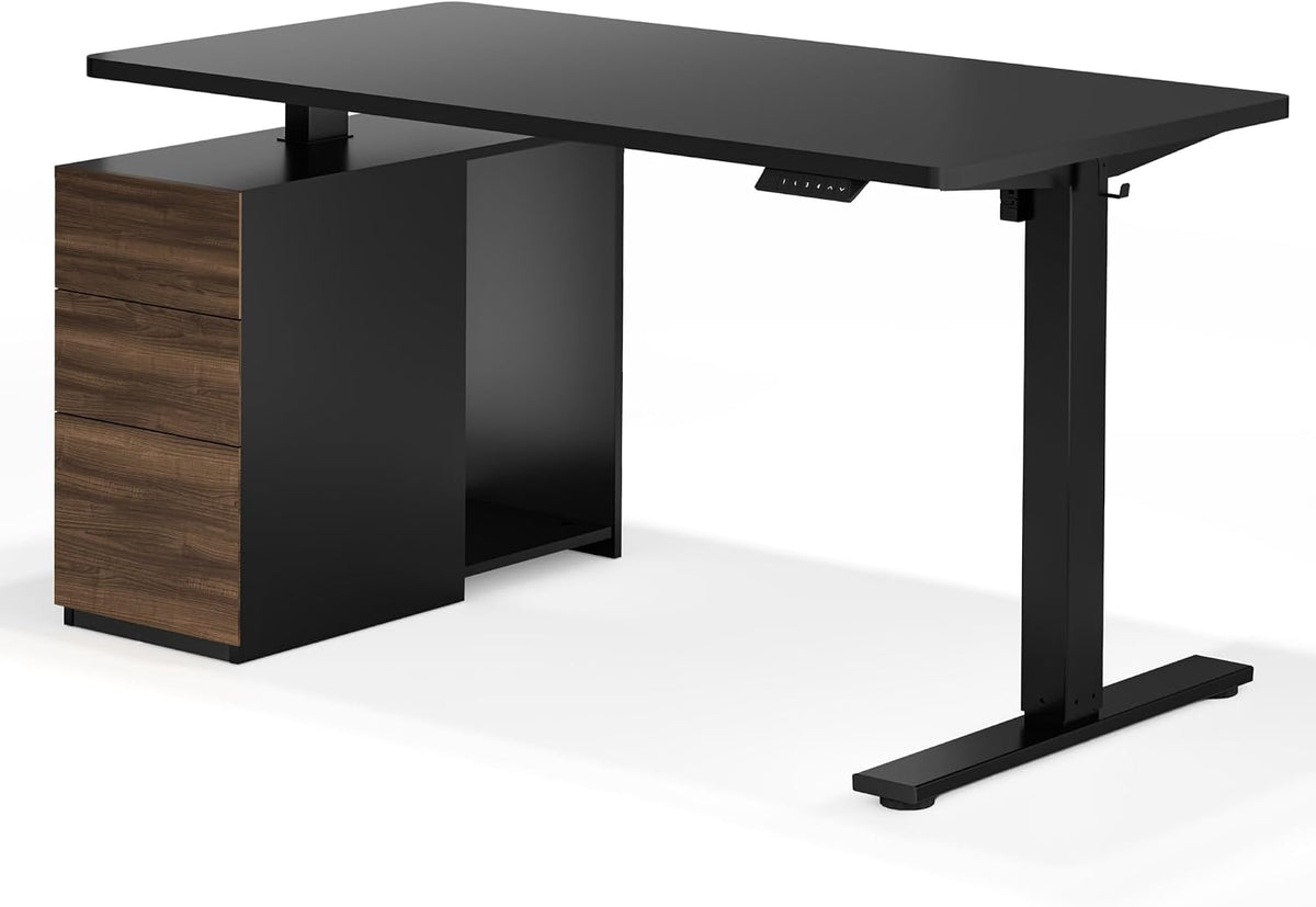 FLEXISPOT EN2 55"x28" Standing Desk Bundle with Storage Cabinet, Black