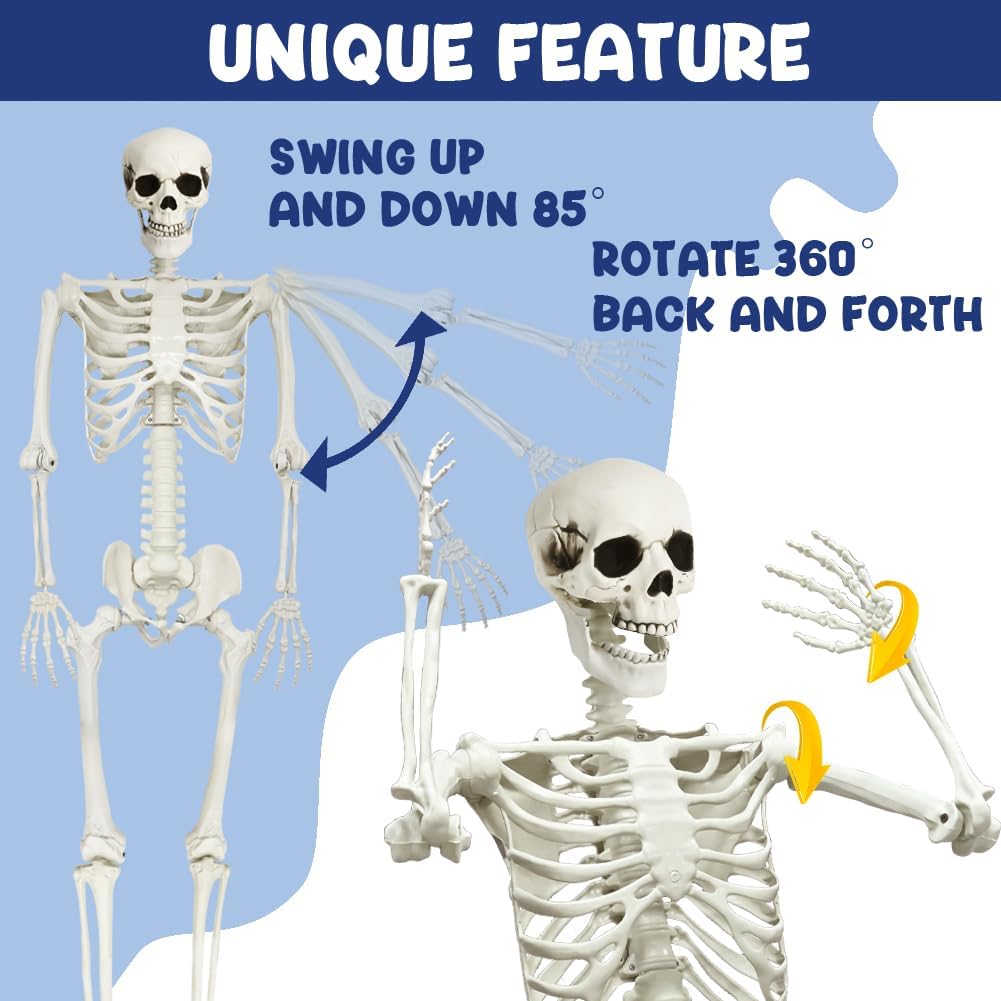 5.9Ft Halloween Life Size Skeleton with Cat for Halloween Party Decor