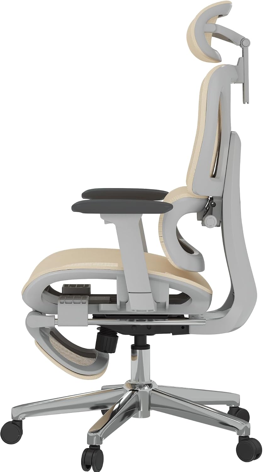 FLEXISPOT ErgoX Premium Ergonomic Office Chair Cream-FT