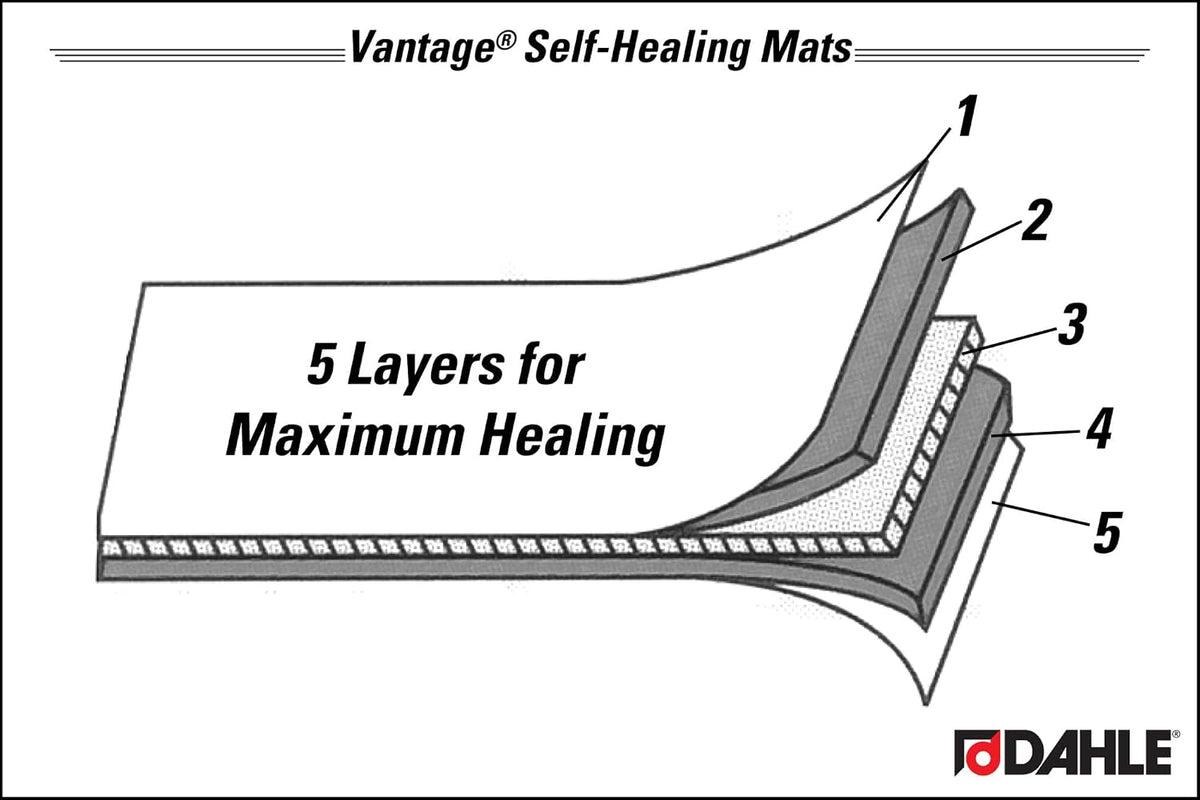 Dahle Vantage 10683 See-Through Premium Self-Healing Cutting Mat, 24"x36...