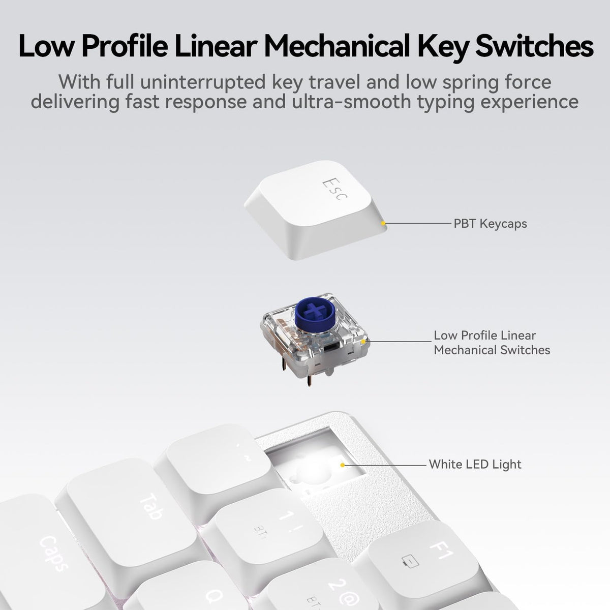 AUSDOM Wireless Mechanical Silent Office Keyboard, Low-Profile Linear Switche...