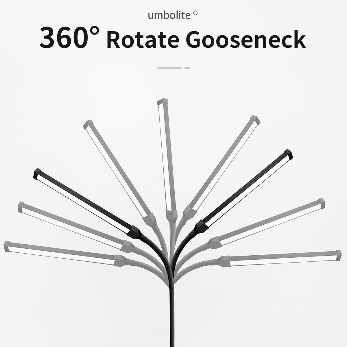 Lash Light, LED Floor Lamp, Reading Floor Lamp, Adjustable Gooseneck, 3 Heigh...