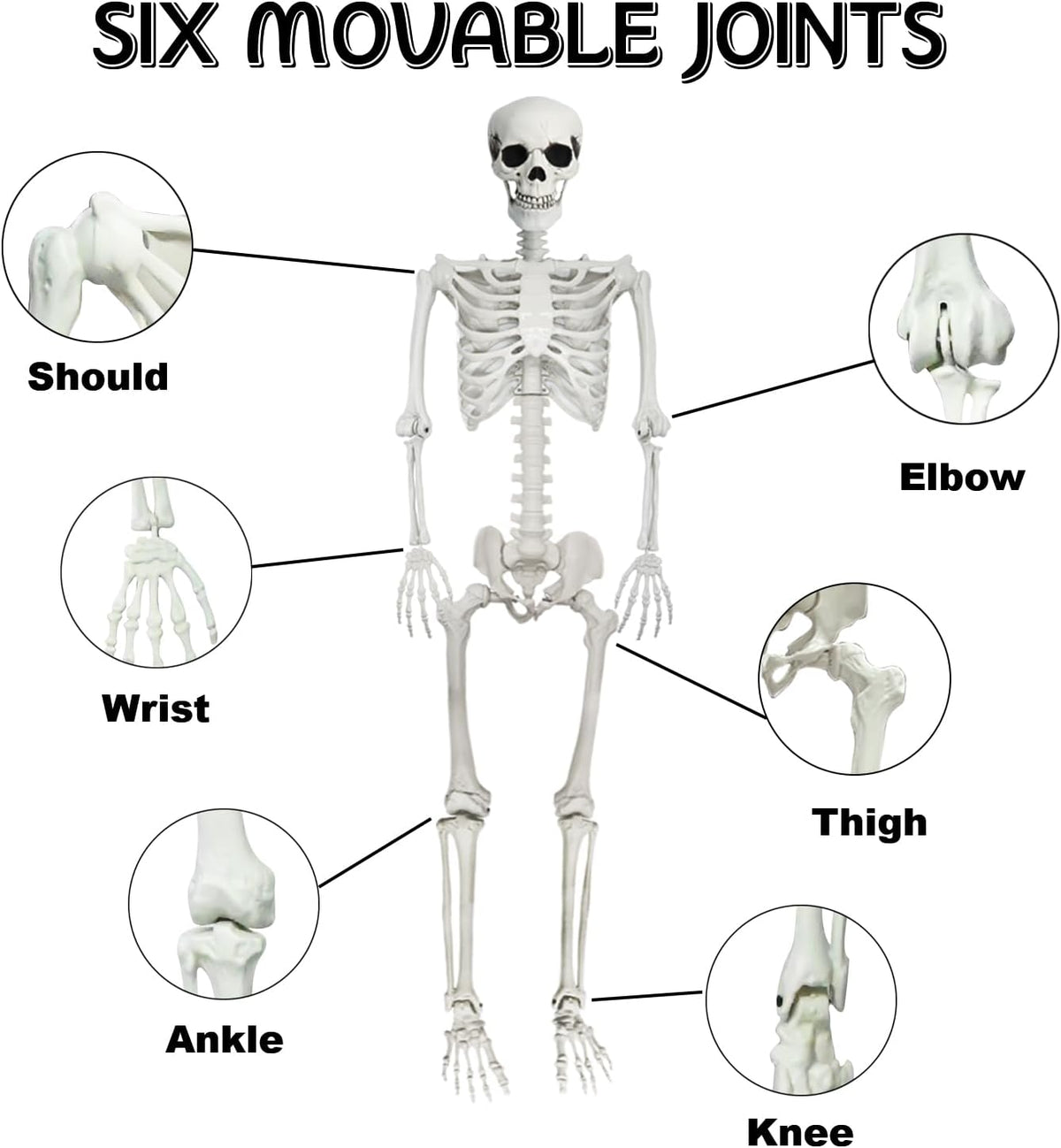 5.4Ft Posable Halloween Skeleton with Dog Cat Skeleton for Halloween Decor