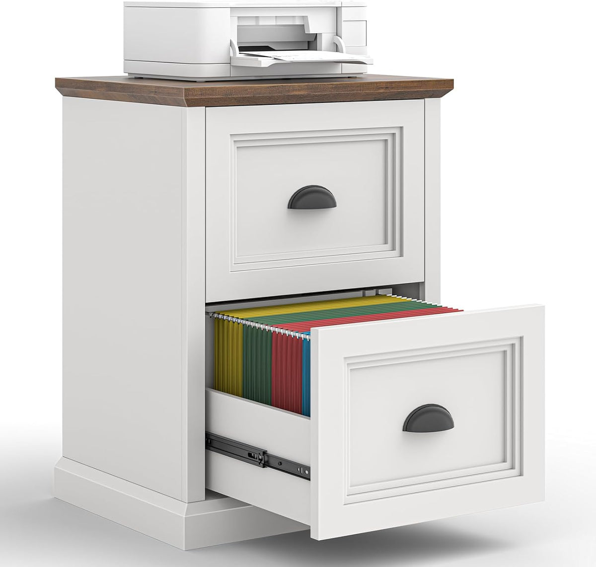 Halitaa Vertical File Cabinet with 2 Drawers for Home Office, White