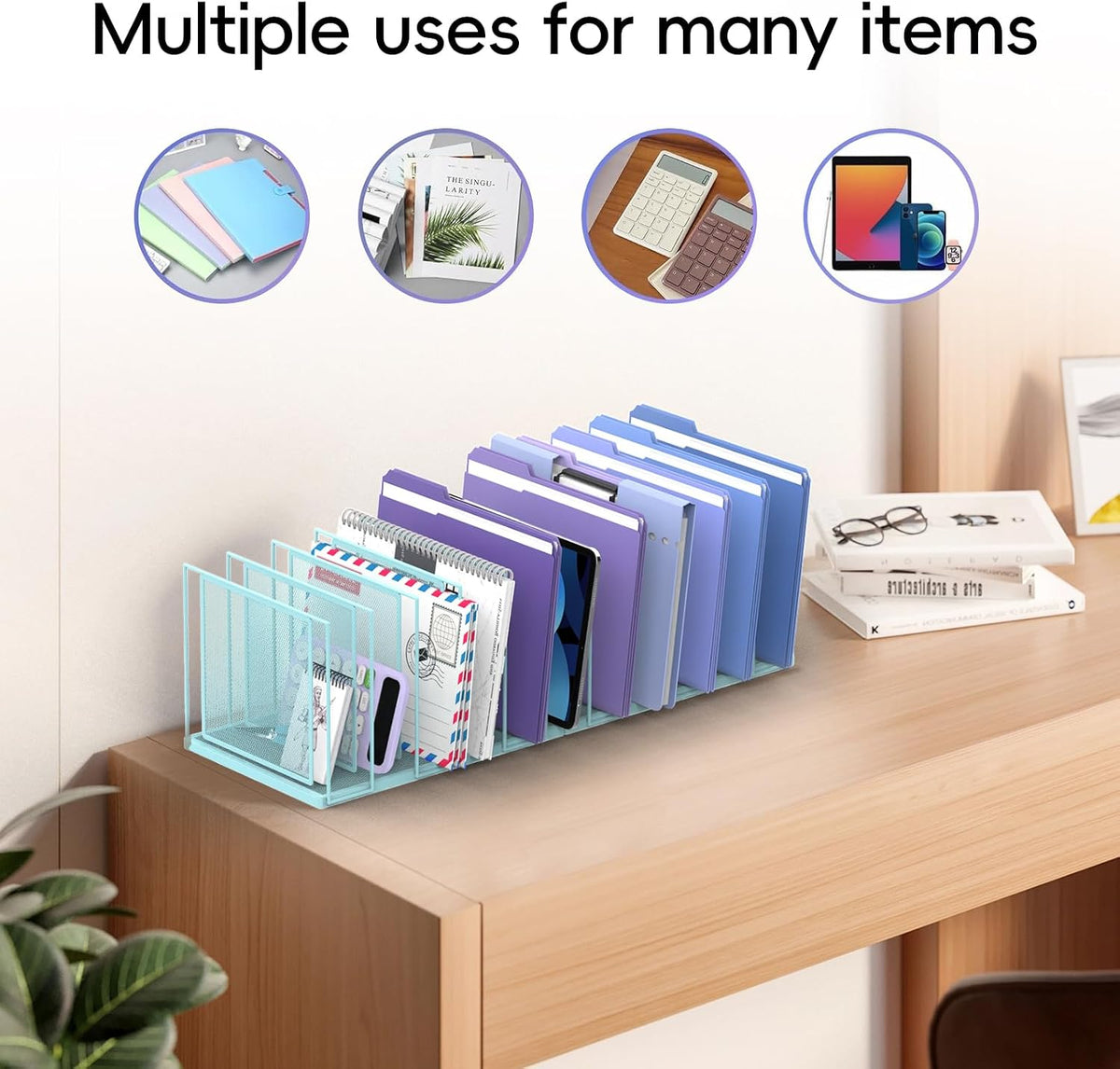 File Organizer for Desk, 11-Section Vertical File Sorter, Paper Holder Organi...