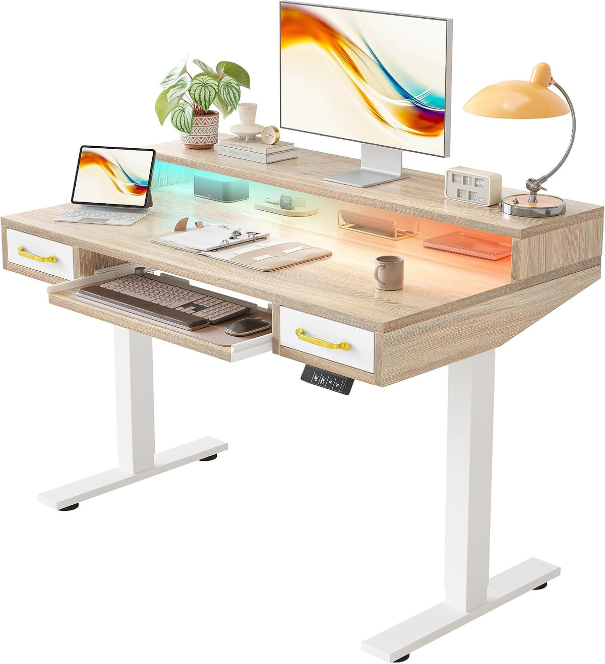 TIQLAB Standing Desk with Two Drawers, Stand Up Standing Desk Adjustable Heig...