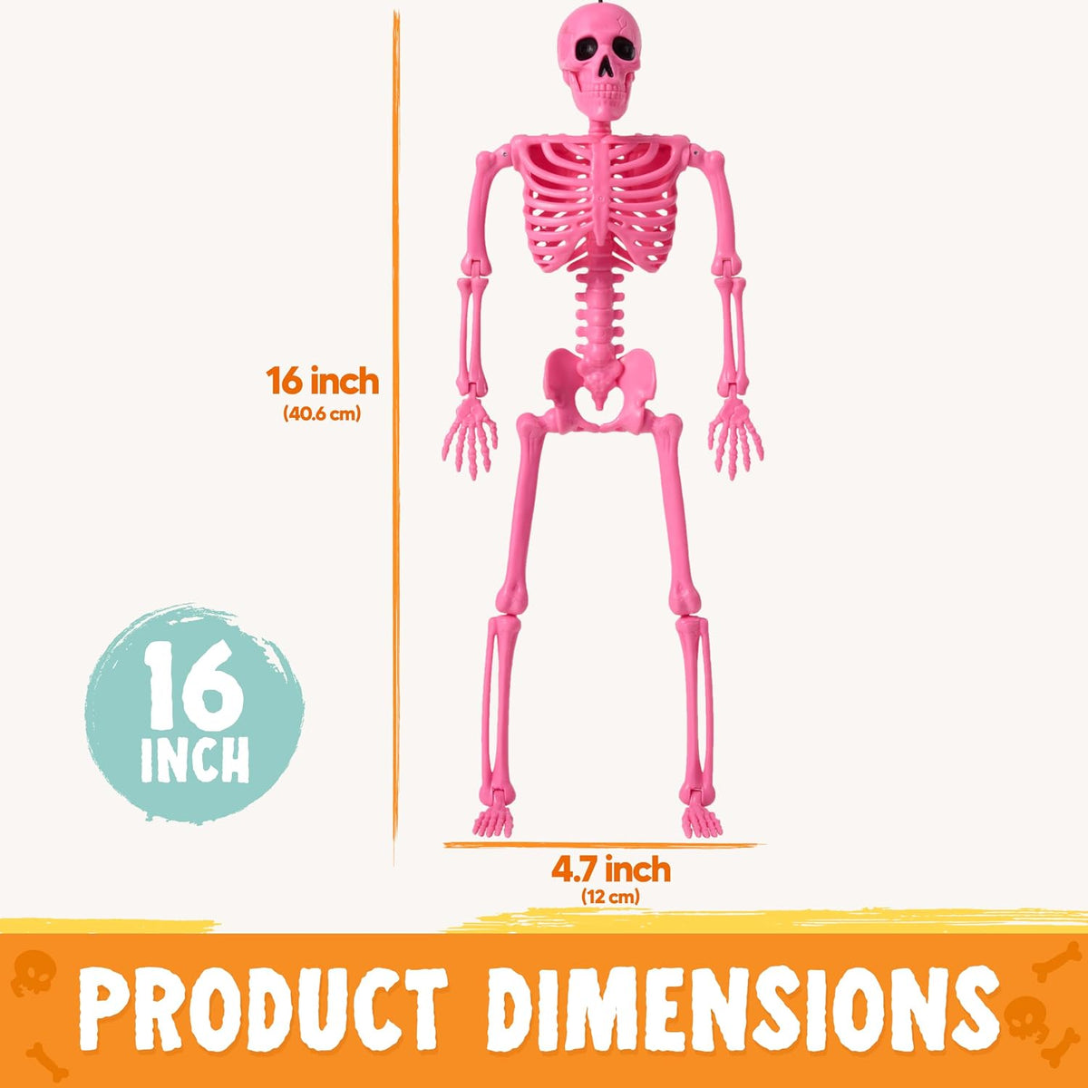 JOYIN 12 PCS Posable Halloween Skeleton Decor 16 Inches, Full Body Posable Jo...