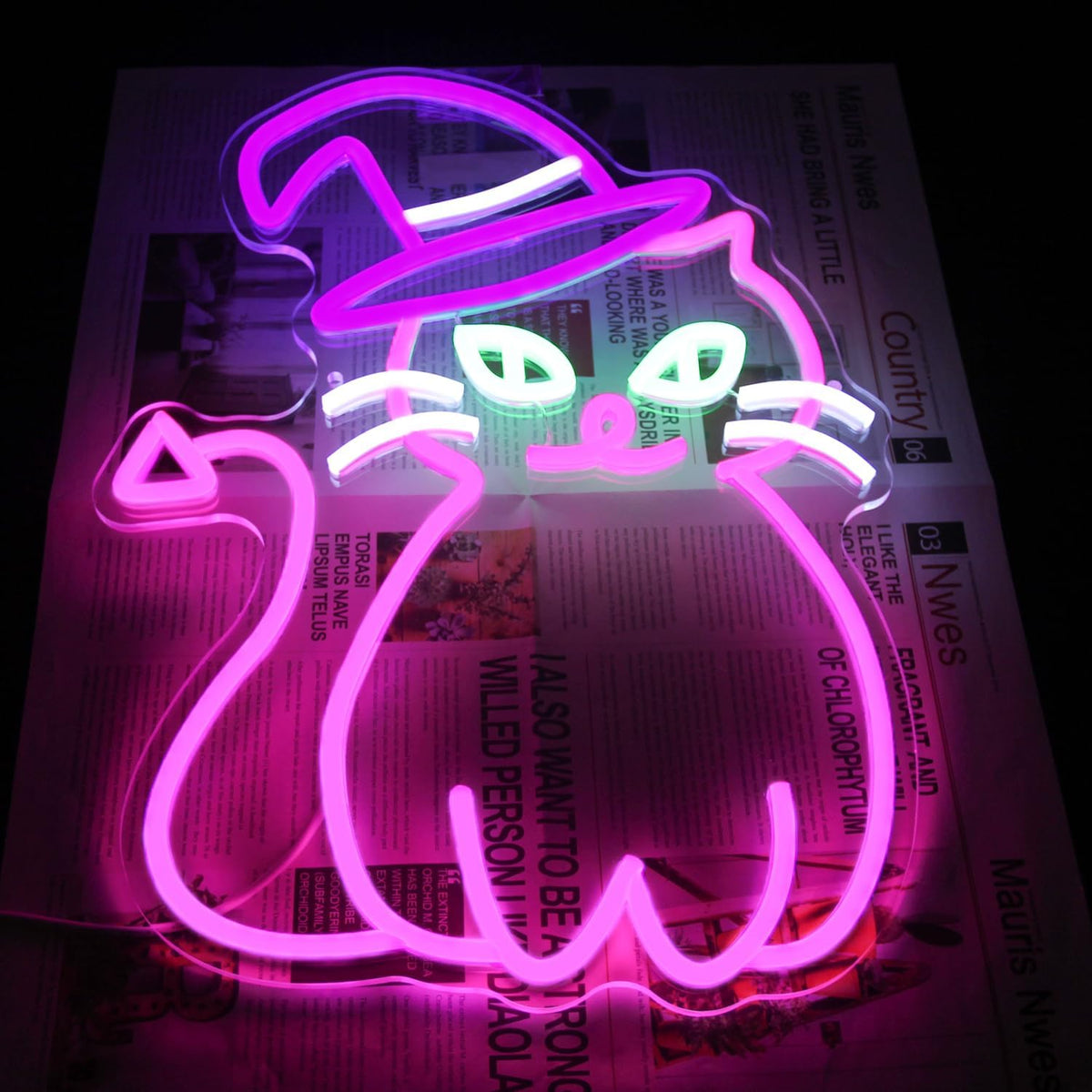 Pink Cat with Witch Hat Neon Sign Halloween LED Light for Room Party Decor