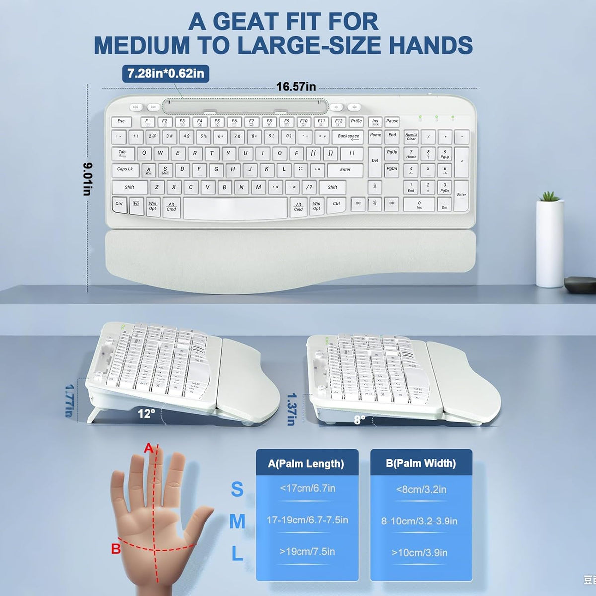 EAYBLLY 2.4G Wireless Ergonomic Keyboard, Full Size Wave Keys with Memory Foa...