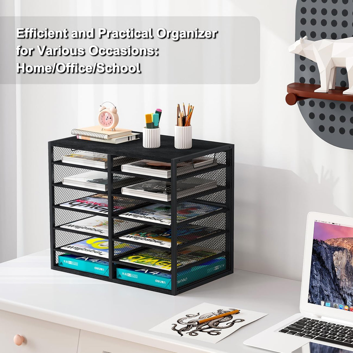 PAG Mass Mail Holder, Adjustable Countertop Literature Organizer, Student Mai...