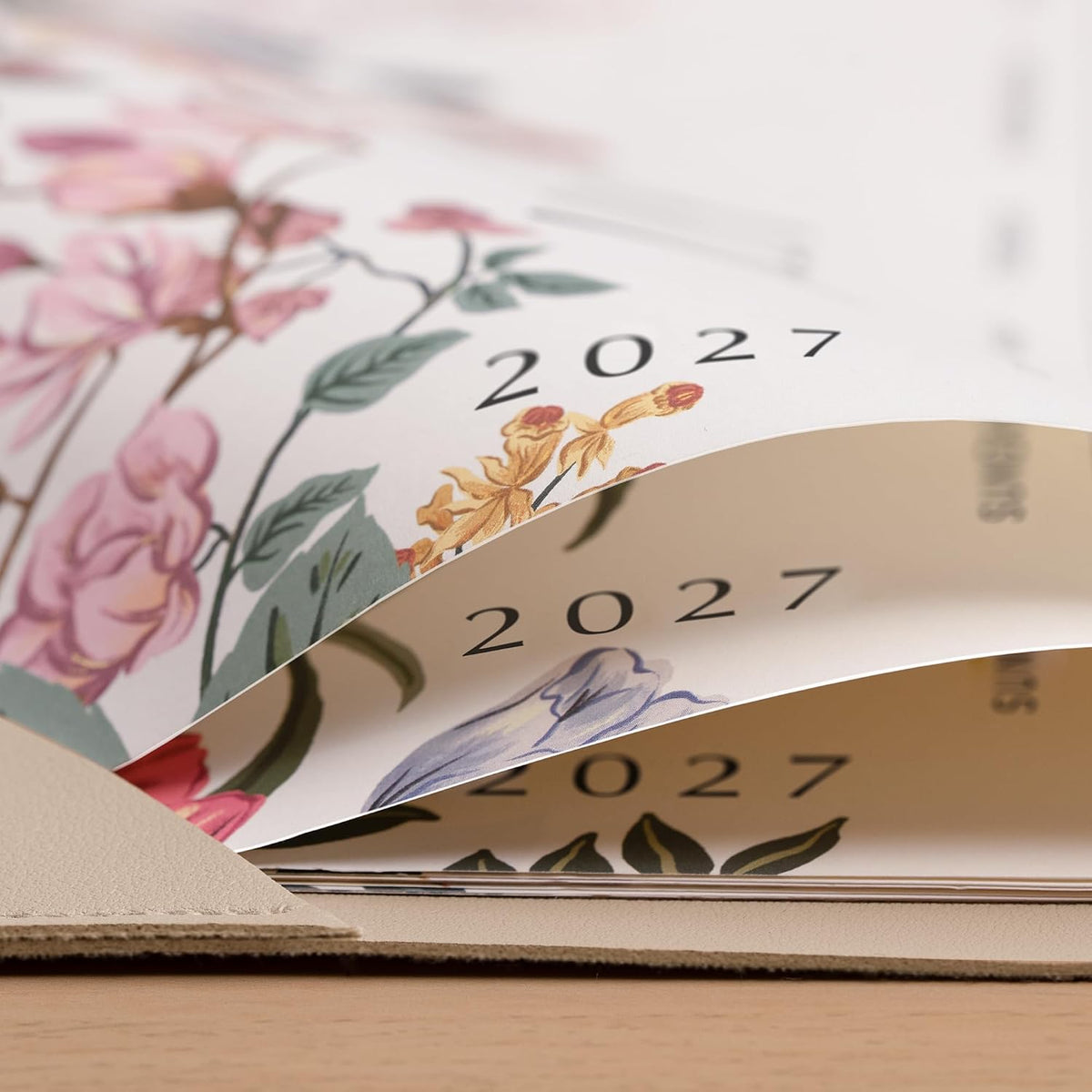 Cabbrix Desk Calendar 2027, Large Desk Pad Calendar 22 x 17" (Apricot)