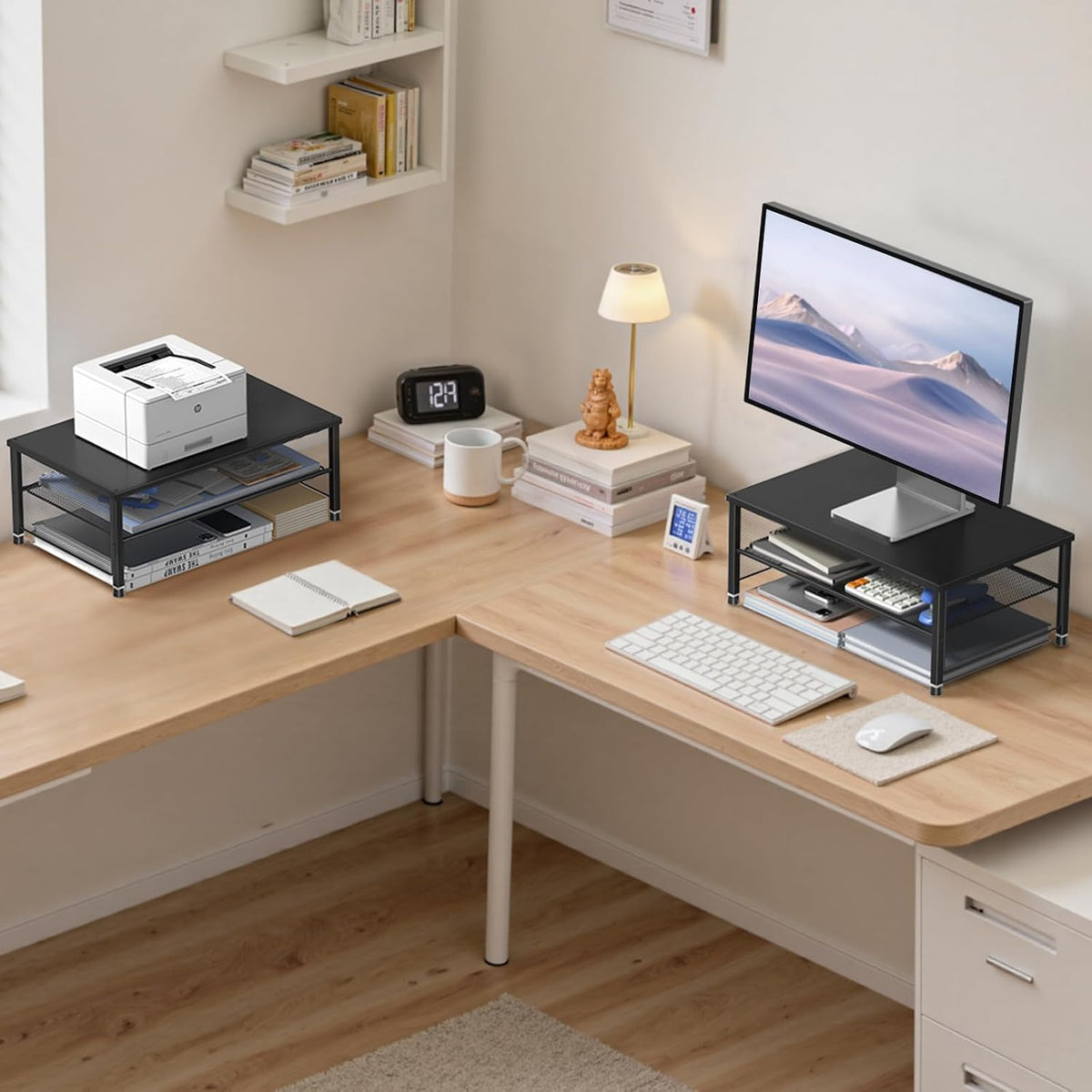 ECOLOVI 2-Tier Computer Monitor Stand Riser, Printer & Laptop Stand, Offi...