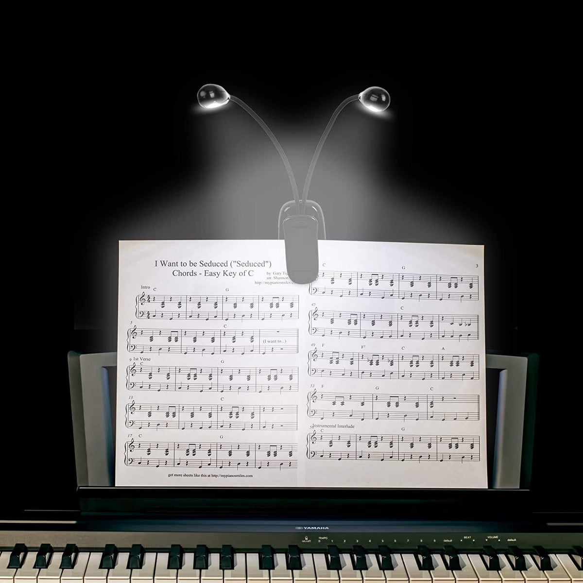 10 Pack Music Stand Lights - Musician Piano Light Clip On, USB & AAA Batt...