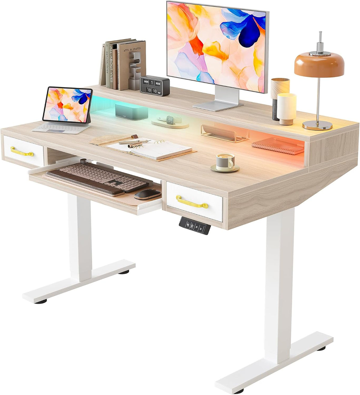 TIQLAB Standing Desk with Two Drawers, Stand Up Standing Desk Adjustable Heig...