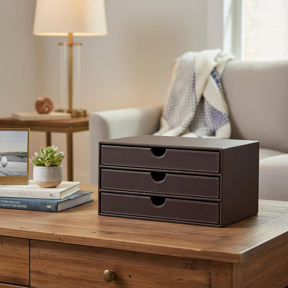 UnionBasic Leather Desktop Drawer Organizer, File Cabinet Magazine Document H...
