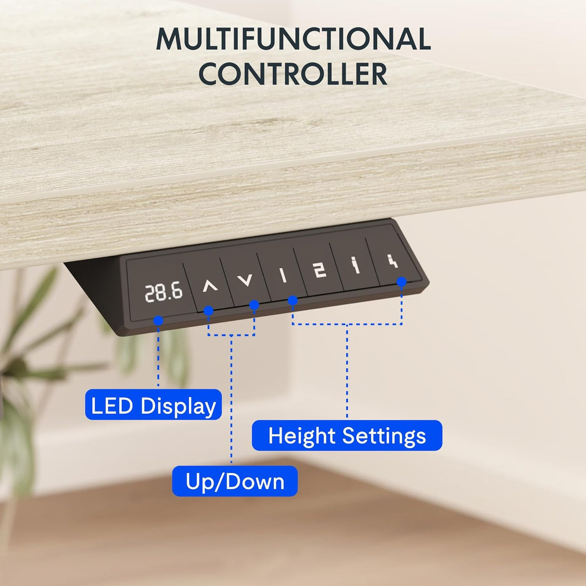 FLEXISPOT Standing Desk with Monitor Riser & Cable Management
