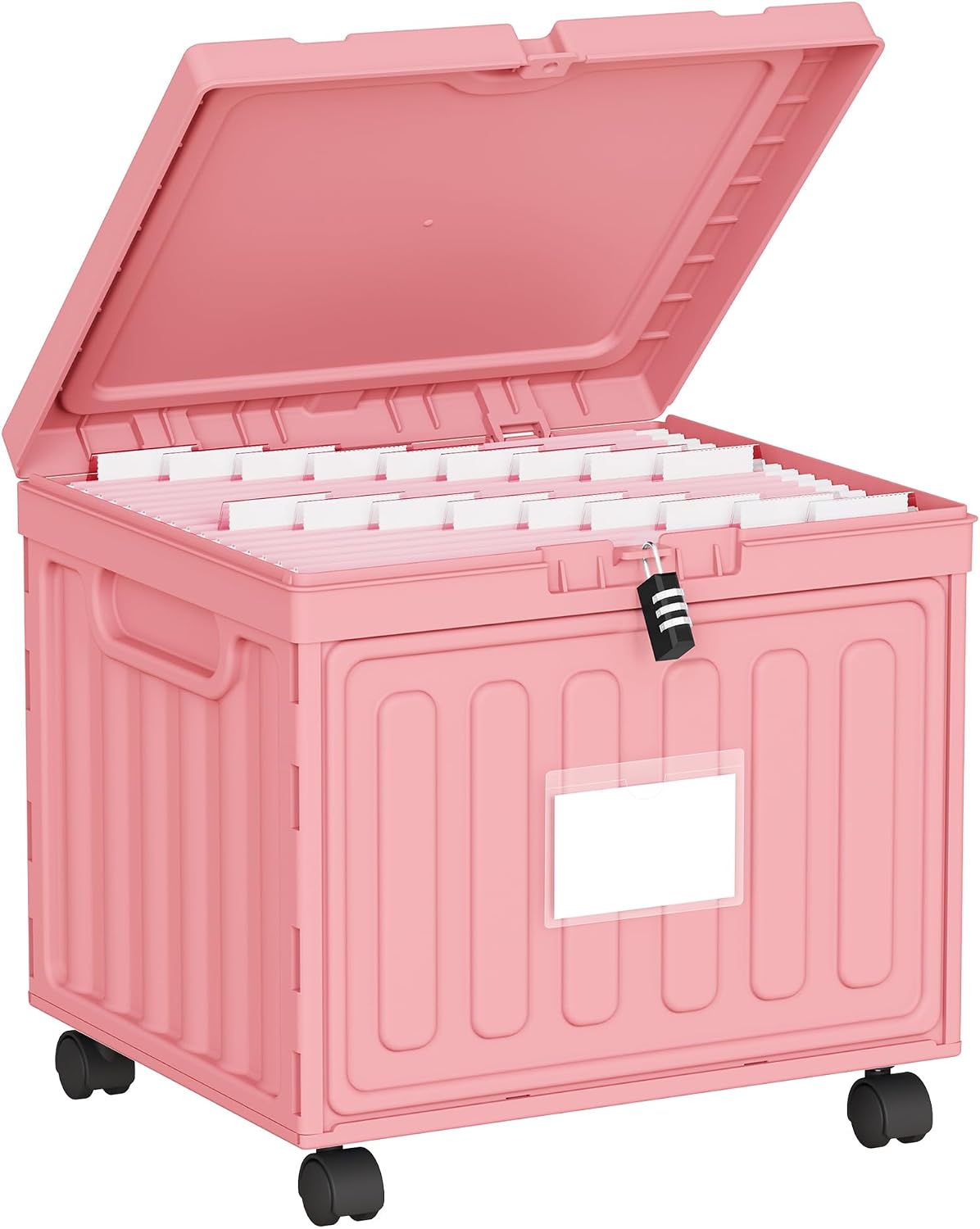 Oterri Lockable File Cabinet with Wheel, Letter-Size Plastic File Organizer