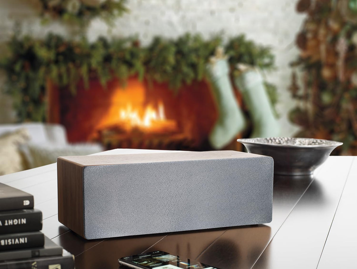 Audioengine A2 AIO (B2) Bluetooth Speaker – Premium Wireless Home Speaker