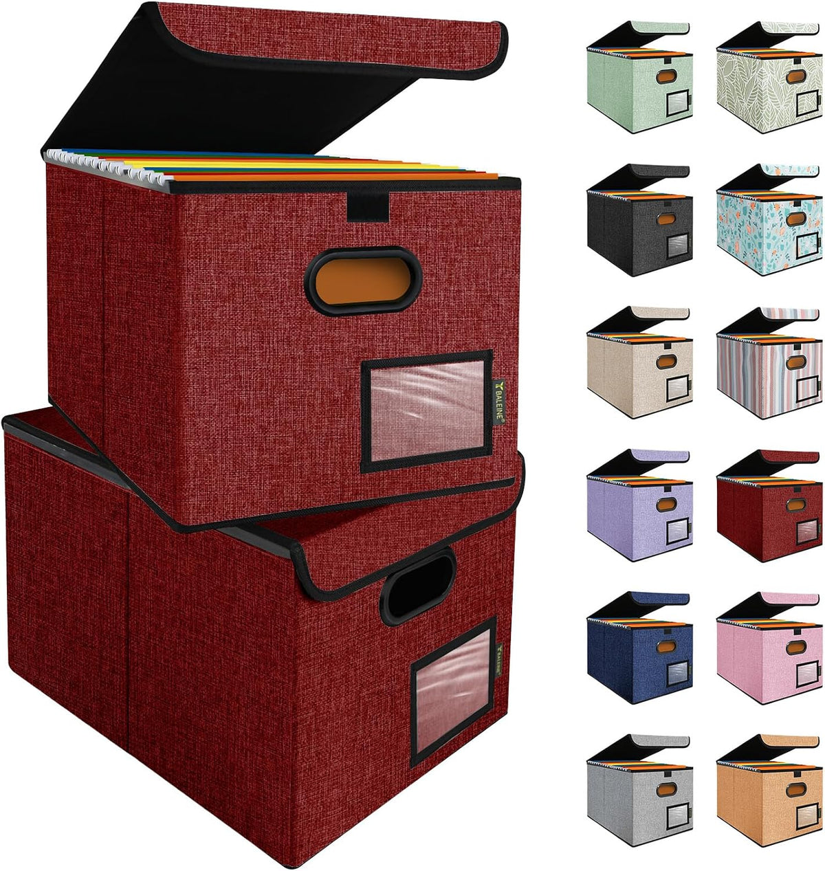 BALEINE File Organizer Box with Lid, Collapsible Hanging File Storage Box