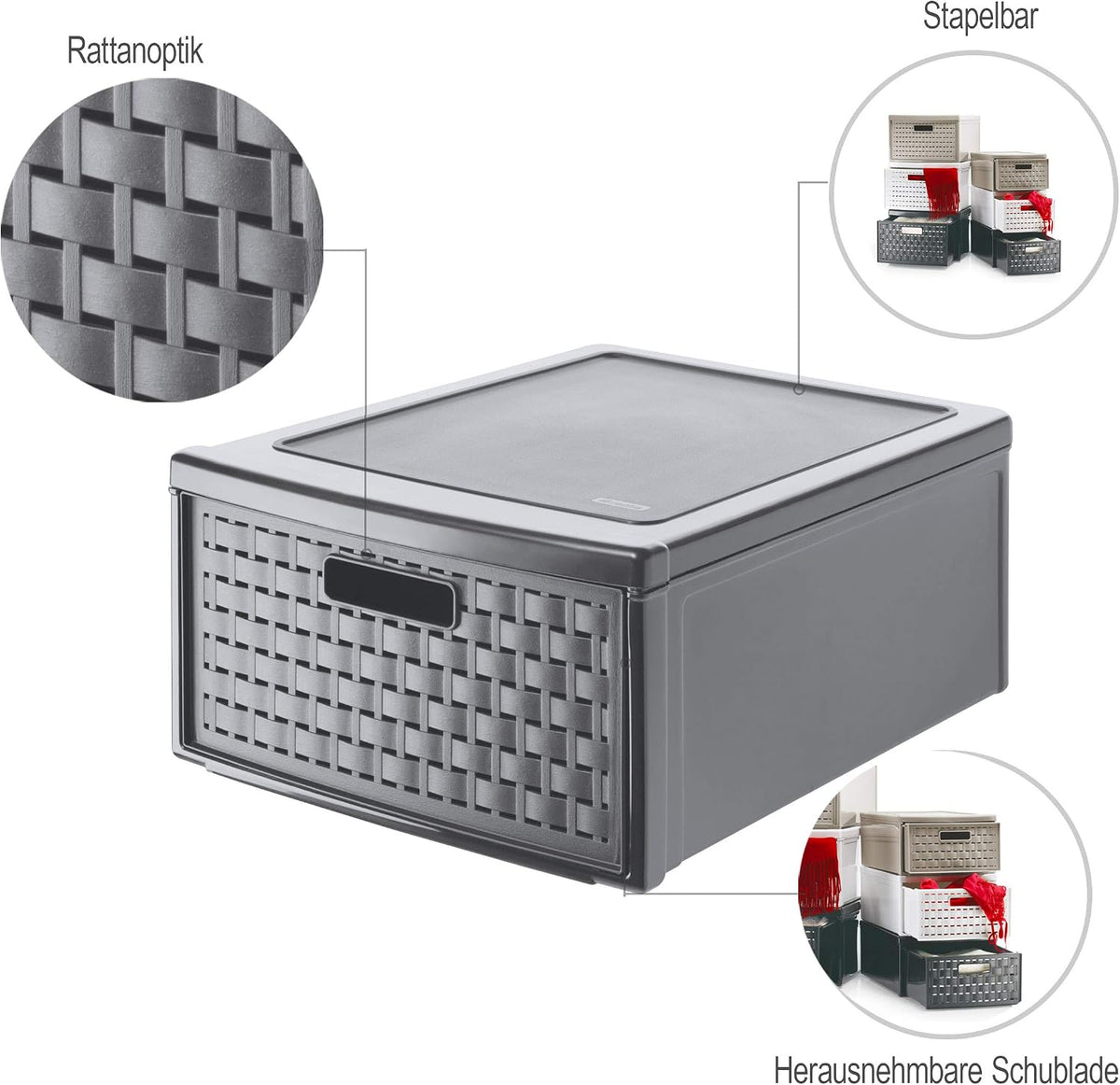 Rotho Country Box 8.3l with 1 Drawer in Rattan-Look, Plastic (PP) BPA-Free, A...