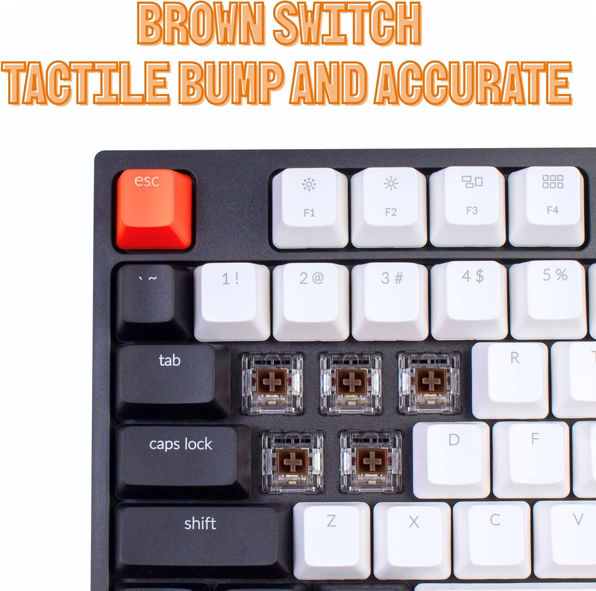 Keychron C2 Wired Full-Size Keyboard, Brown Switch, White Backlit