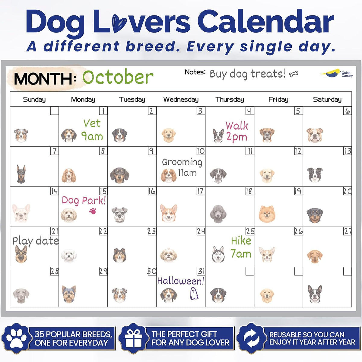 Large Magnetic Puppy Dog Calendar for Fridge, 17x12" Monthly