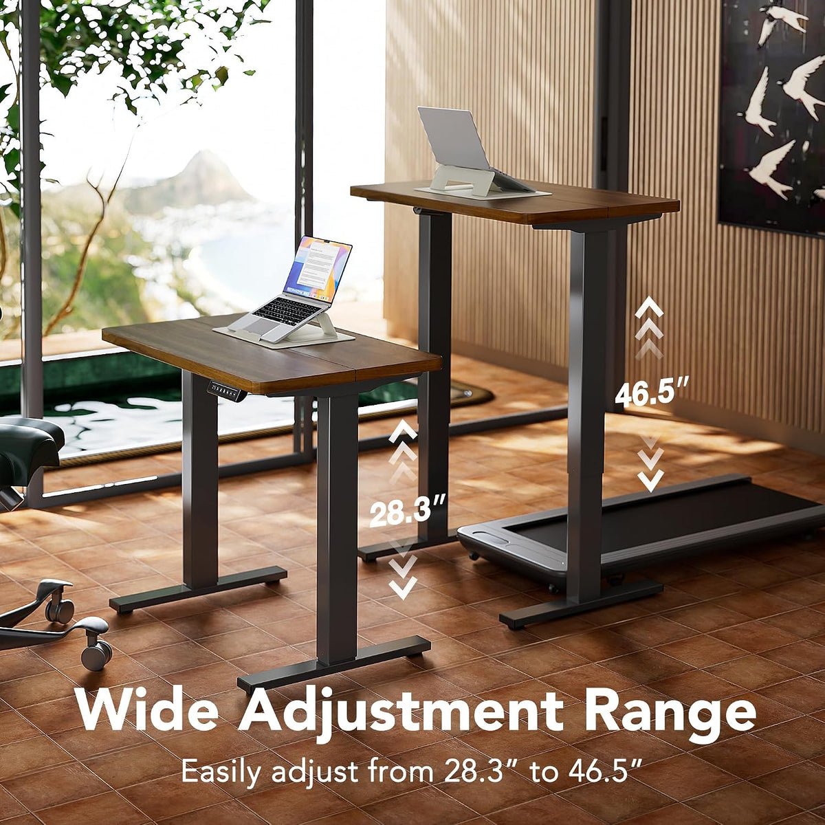 HUANUO 32x19 Inch Small Electric Standing Desk, Adjustable, Black Walnut