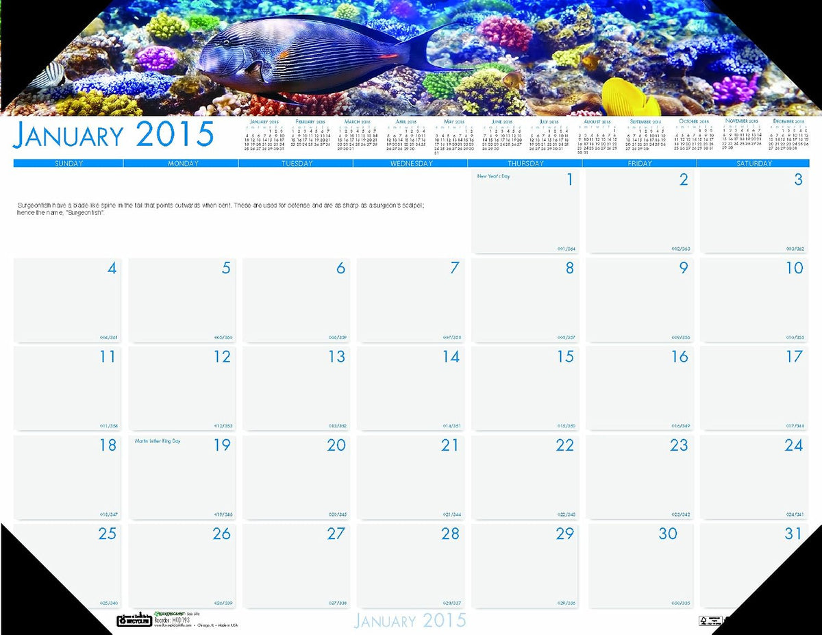 House of Doolittle Earthscapes Compact Sea Life Desk Pad Calendar 12 Months J...