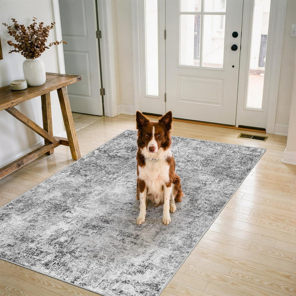 3x5 Washable Area Rug for Entryway: Small Abstract Neutral Rugs Grey