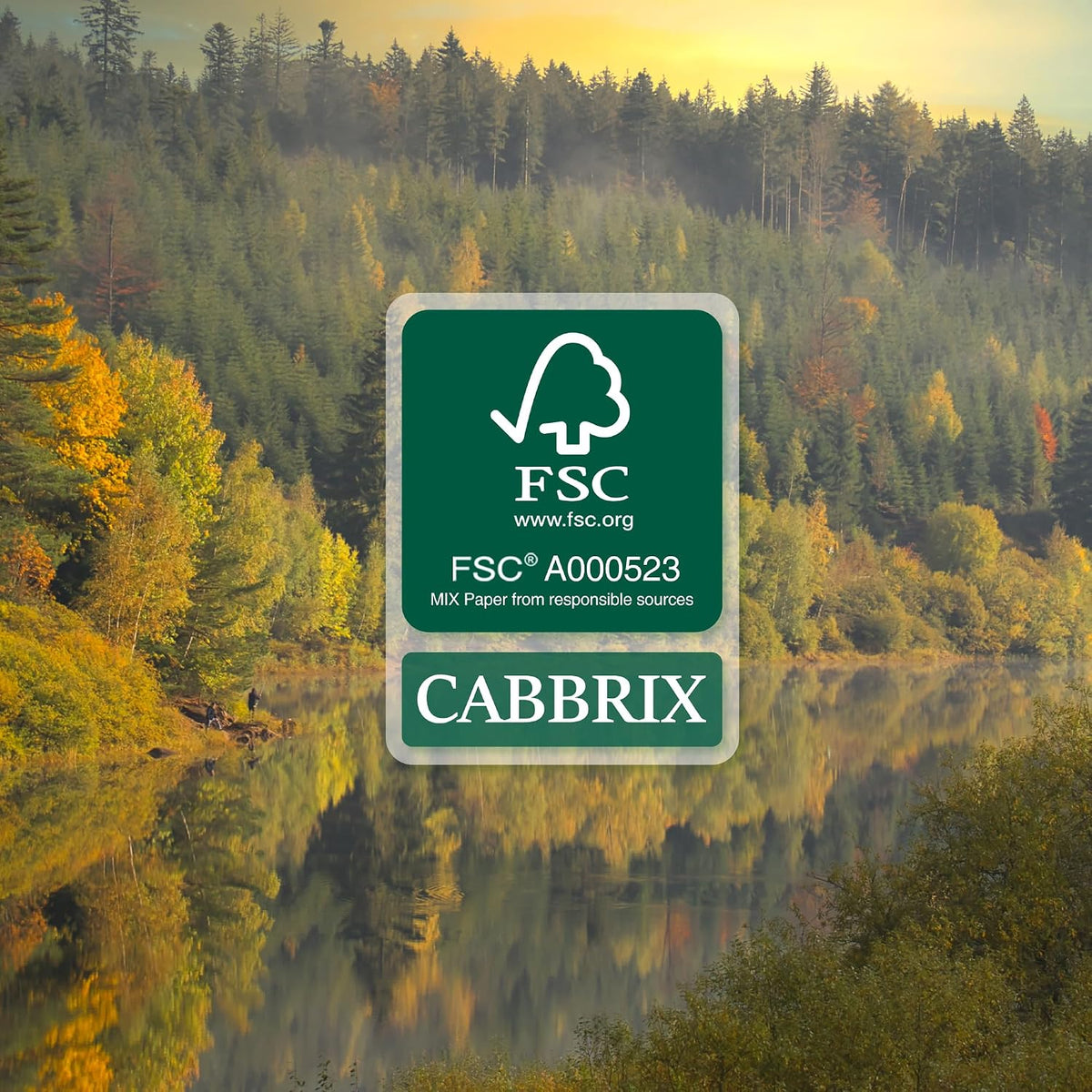 Cabbrix Desk Calendar 2027, Large Desk Pad Calendar 22 x 17" (Apricot)
