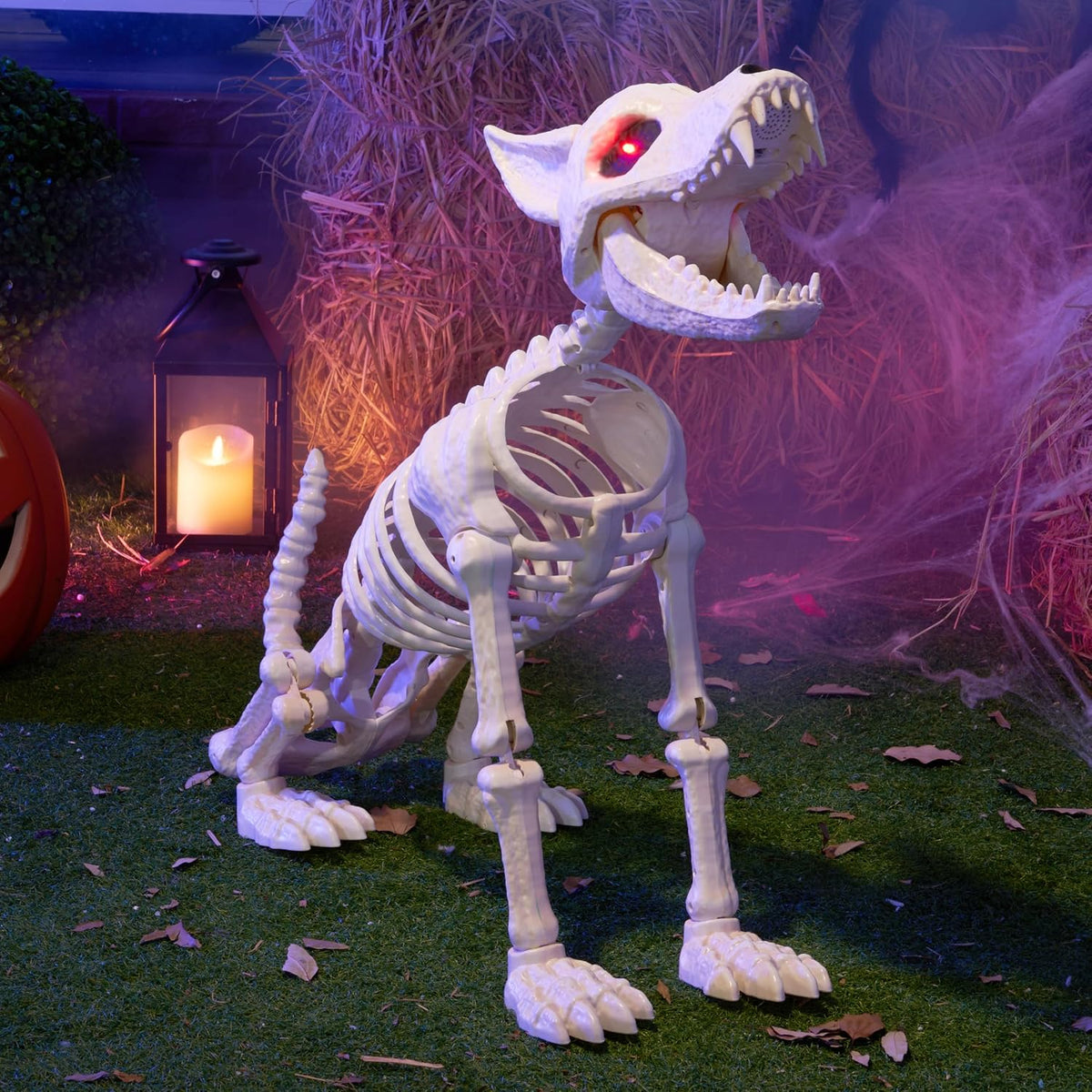 JOYIN Howling Wolf Skeletons Halloween Decorations 34” Skeleton Dog with Red ...