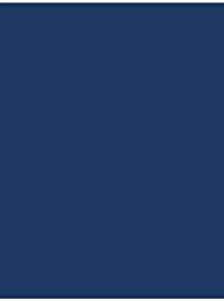 LUXPaper 11" x 17" Cardstock | Tabloid Size | Navy Blue | 100lb. Cover | 50 Qty by LUXPaper