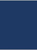 LUXPaper 11" x 17" Cardstock | Tabloid Size | Navy Blue | 100lb. Cover | 50 Qty by LUXPaper