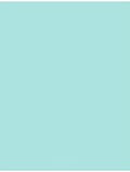 LUXPaper 11" x 17" Cardstock | Tabloid Size | Seafoam Blue | 100lb. Cover | 50 by LUXPaper