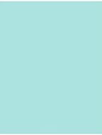 LUXPaper 11" x 17" Cardstock | Tabloid Size | Seafoam Blue | 100lb. Cover | 50 by LUXPaper