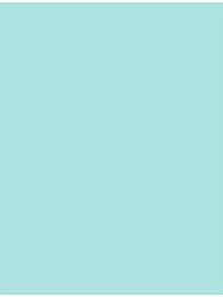 LUXPaper 11" x 17" Cardstock | Tabloid Size | Seafoam Blue | 100lb. Cover | 50 by LUXPaper
