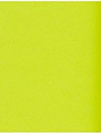 LUXPaper 11" x 17" Cardstock | Tabloid Size | Wasabi Green | 100lb. Cover | 50 by LUXPaper