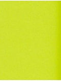 LUXPaper 11" x 17" Cardstock | Tabloid Size | Wasabi Green | 100lb. Cover | 50 by LUXPaper