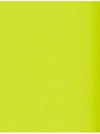 LUXPaper 11" x 17" Cardstock | Tabloid Size | Wasabi Green | 100lb. Cover | 50 by LUXPaper