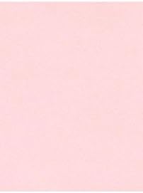 LUXPaper 11" x 17" Cardstock | Tabloid Size | Candy Pink | 100lb. Cover | 50 Qty by LUXPaper