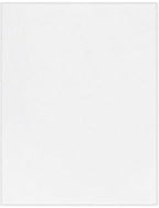 LUXPaper 11" x 17" Cardstock | Tabloid Size | White | 100lb. Cover | 50 Qty by LUXPaper