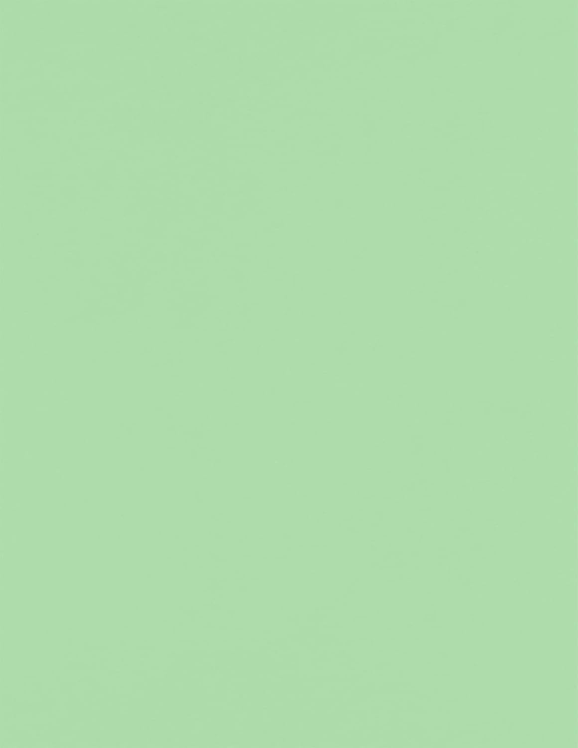 LUXPaper 8.5" x 11" Paper | Letter Size | Pastel Green | 60lb. Text | 500 Qty
