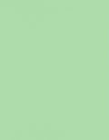 LUXPaper 8.5" x 11" Paper | Letter Size | Pastel Green | 60lb. Text | 500 Qty by LUXPaper