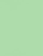 LUXPaper 8.5" x 11" Paper | Letter Size | Pastel Green | 60lb. Text | 500 Qty by LUXPaper